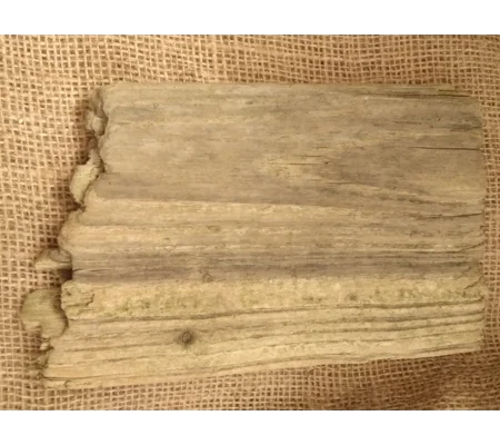 Driftwood / Drift Wood single piece number 11