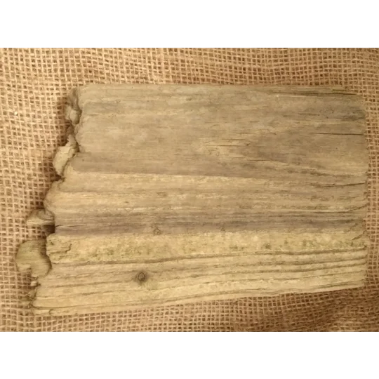 Driftwood / Drift Wood single piece number 11