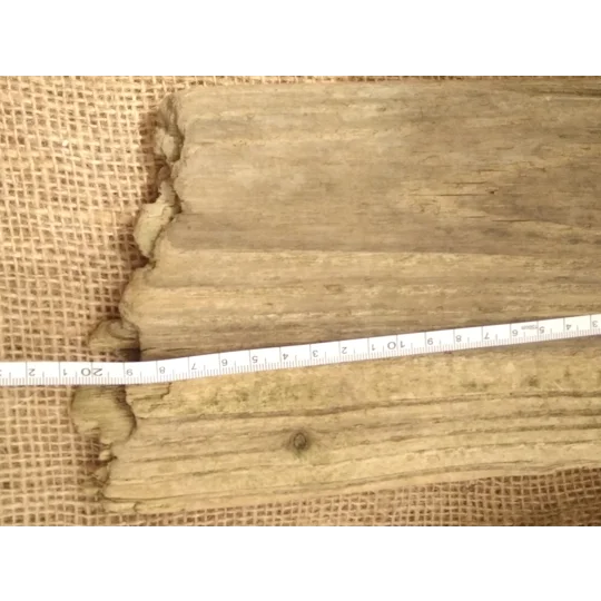 Driftwood / Drift Wood single piece number 11