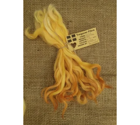 Summer Sunshine Yellow and Orange Devon and Cornwall longwool locks 10g