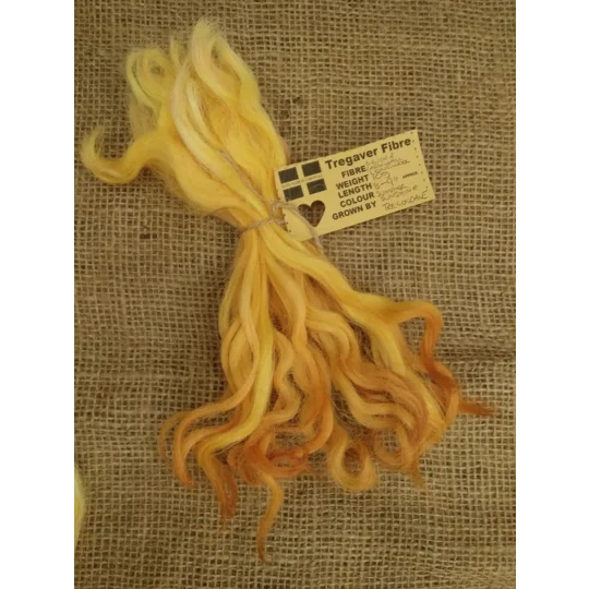 Summer Sunshine Yellow and Orange Devon and Cornwall longwool locks 10g