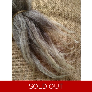 Zwartble x welsh mountain cross breed wool locks 10g