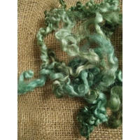 Sea Weed Green Teeswater Curly wool, 10g (v)