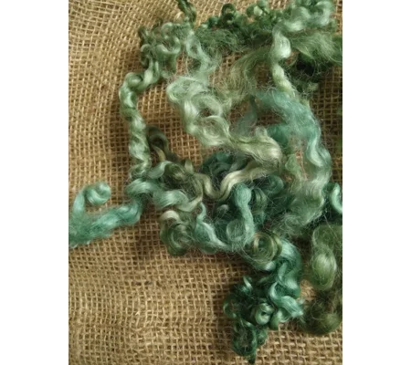 Sea Weed Green Teeswater Curly wool, 10g (v)