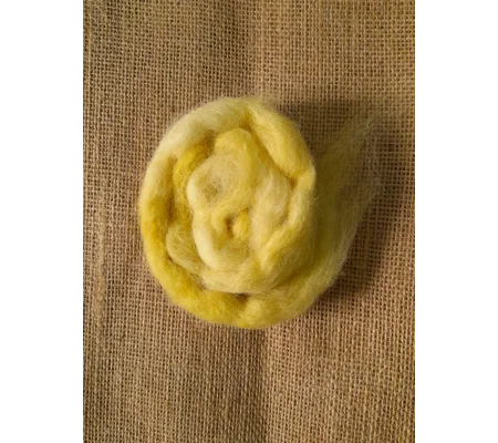 Yellow Mix Carded Wool 10g
