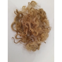 Pale Brown valais blacknose loose curly  wool  and locks, 10g, curly wool