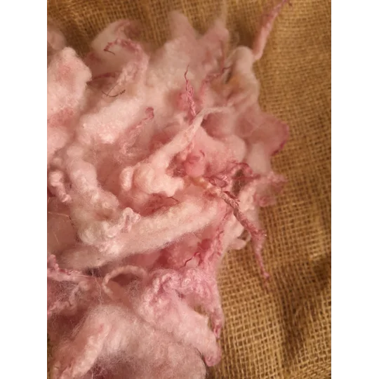 Hand dyed Blue Faced Leicester wool , hand dyed curly wool locks, pale pink felting wool, pink felting wool for felters, felting, doll makers, doll hair, and other fibre arts