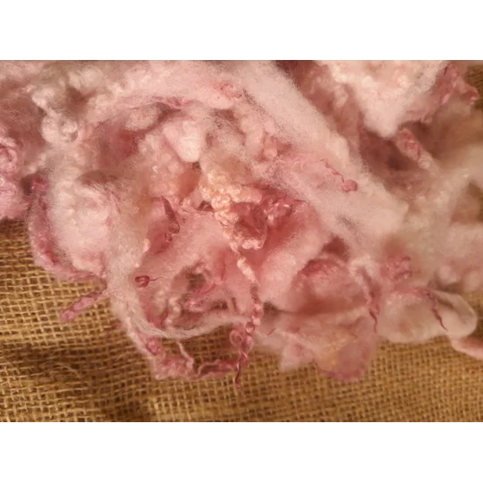 Hand dyed Blue Faced Leicester wool , hand dyed curly wool locks, pale pink felting wool, pink felting wool for felters, felting, doll makers, doll hair, and other fibre arts
