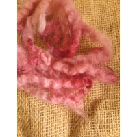 Blue Faced Leicester  x Swaledale loose locks, strawberry pink mix, 10g