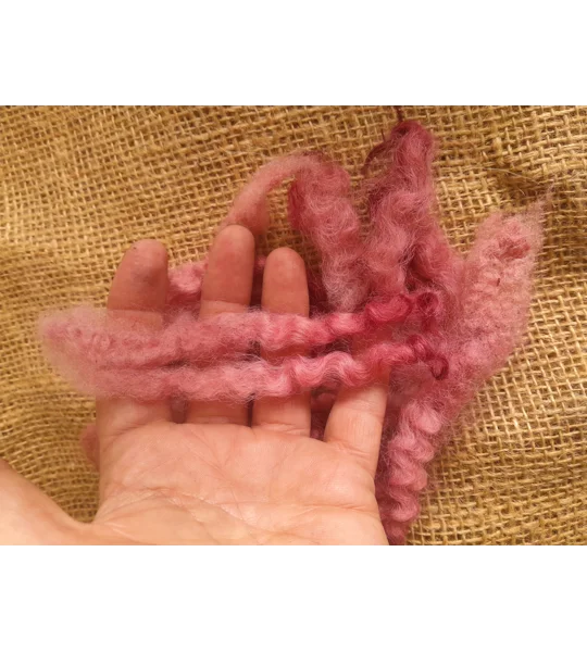 Blue Faced Leicester x Swaledale loose locks, strawberry pink mix, 10g
