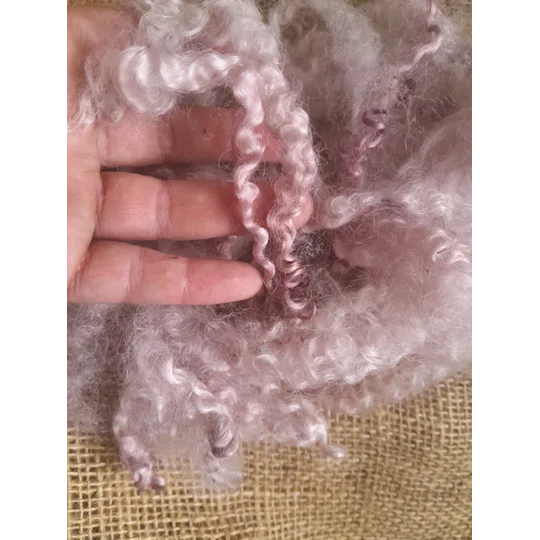 Hand dyed teeswater wool , hand dyed curly wool locks, purple felting wool, pale purple felting wool for felters, felting, doll makers, doll hair, and other fibre arts