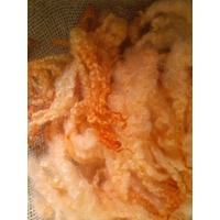 Orange Mix  Blue Faced Leicester loose wool and locks