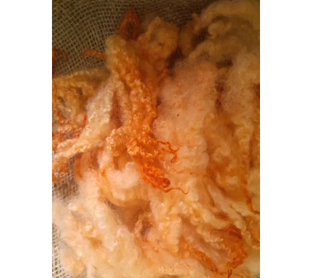 Orange Mix Blue Faced Leicester loose wool and locks
