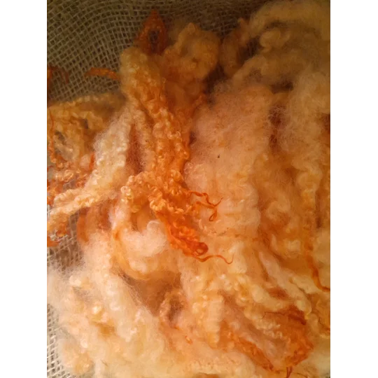 Hand dyed Blue Faced Leicester wool , hand dyed curly wool locks, orange felting wool, orange felting wool for felters, felting, doll makers, doll hair, and other fibre arts