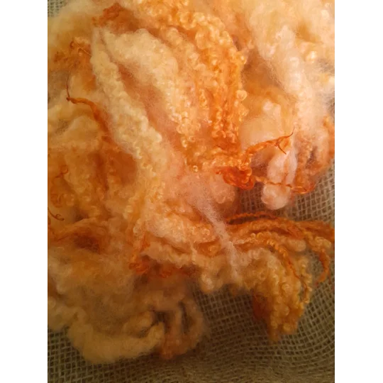 Hand dyed Blue Faced Leicester wool , hand dyed curly wool locks, orange felting wool, orange felting wool for felters, felting, doll makers, doll hair, and other fibre arts