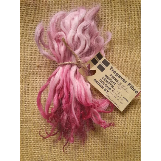 Hand dyed rare breed wool , hand dyed curly wool locks, Devon and Cornwall longwool lamb locks, light pink felting wool, bright pink felting wool for felters, felting, doll makers, doll hair, and other fibre arts