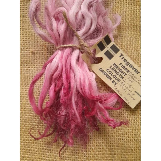 Hand dyed rare breed wool , hand dyed curly wool locks, Devon and Cornwall longwool lamb locks, light pink felting wool, bright pink felting wool for felters, felting, doll makers, doll hair, and other fibre arts