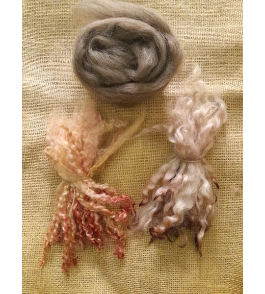 Hand dyed rare breed wool , hand dyed curly wool locks,teeswater locks, white faced datmoor locks carded blue faced leicester wool, felting wool for felters, felting, doll makers, doll hair, and other fibre arts