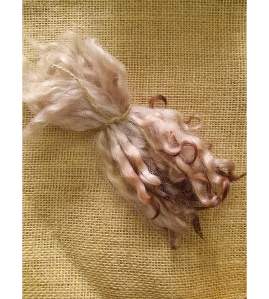 Hand dyed rare breed wool , hand dyed curly wool locks,teeswater locks, white faced datmoor locks carded blue faced leicester wool, felting wool for felters, felting, doll makers, doll hair, and other fibre arts