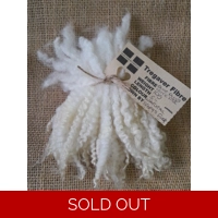Blue Faced Leicester, natural undyed locks - 10g bunch wool locks for doll hair and felting