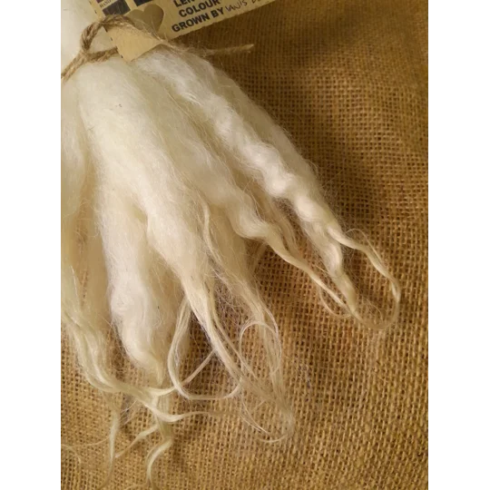 Mule - Blue Faced Leicester x swaledale, natural undyed locks - 10g bunch wool locks