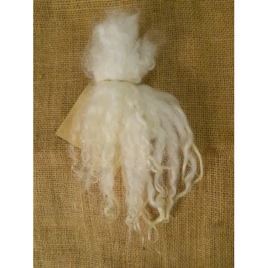 natural undyed Valais Blacknose wool locks, 10g, curly wool