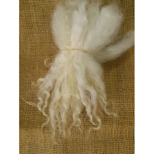 natural undyed Valais Blacknose wool locks, 10g, curly wool