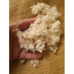 Wool Nepps - tiny balls of wool