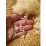 Wool Nepps - tiny balls of wool Wool Nepps - tiny balls of wool