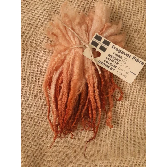 Ginger Blue Faced Leicester wool locks 10g