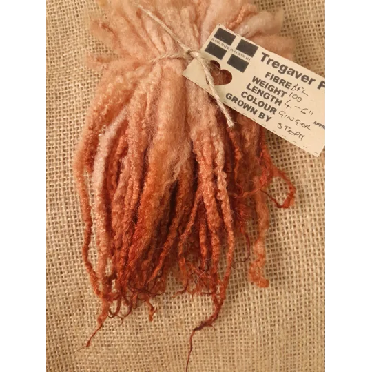 Ginger Blue Faced Leicester wool locks 10g