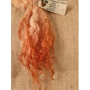 extra long hand dyed ginger Valais Blacknose wool locks, 10g, curly wool