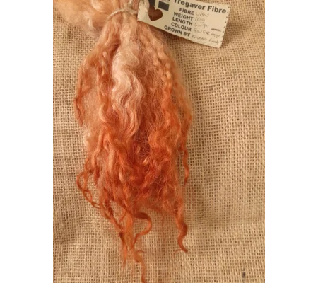 extra long hand dyed ginger Valais Blacknose wool locks, 10g, curly wool