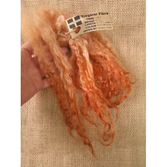 extra long hand dyed ginger Valais Blacknose wool locks, 10g, curly wool