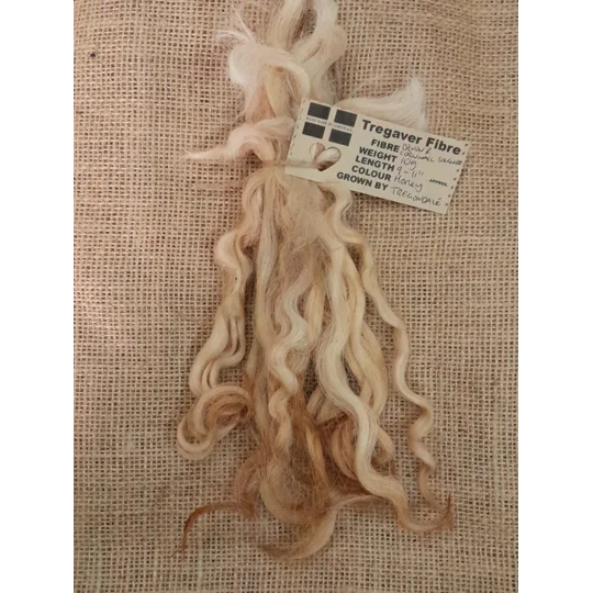 honey blonde locks, wool locks, doll hair locks, curly wool locks, curly wool