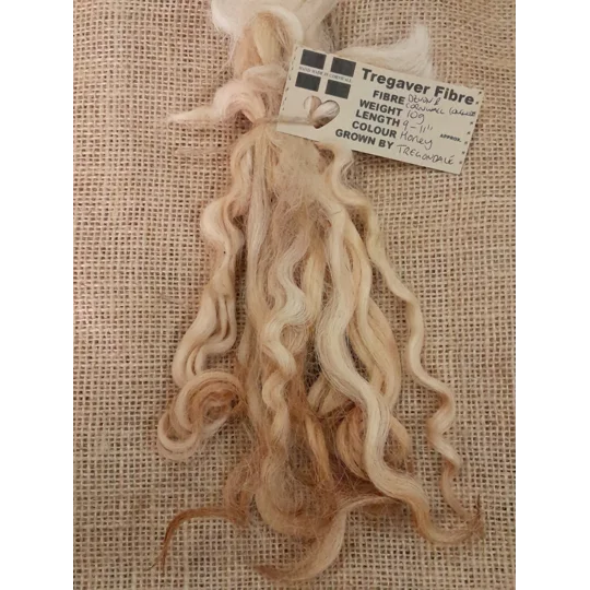 honey blonde locks, wool locks, doll hair locks, curly wool locks, curly wool