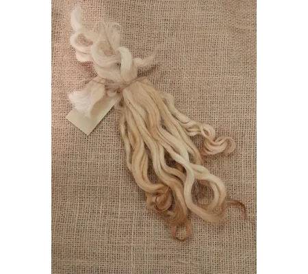 Honey blonde Devon and Cornwall longwool locks 10g