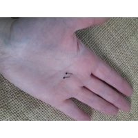 Glass Eyes for miniatures 1 mm