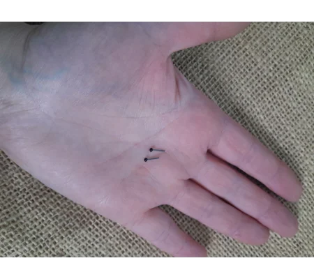 Pair of Glass Eyes for miniatures 1 mm