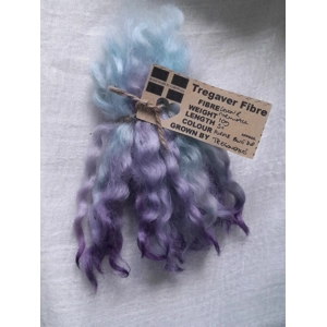 Blue and purple dip Devon and Cornwall Longwool, wool locks10g