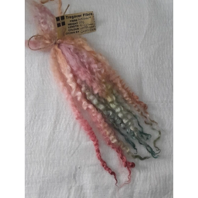 Watermelon pink/orange/green  Masham Curly wool Locks, approx  9 - 13" 10g bunch