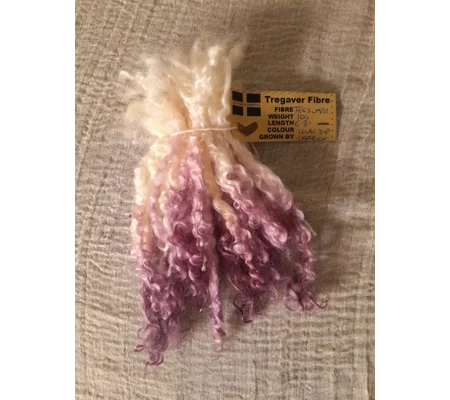 Lilac Dip - 10g bunch teeswater locks for doll hair and felting