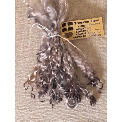 Silver mix - 10g bunch teeswater locks for doll hair and felting Silver mix - 10g bunch teeswater locks for doll hair and felting