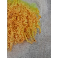 orange and yellow teeswater fleece piece