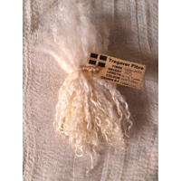 Natural undyed Teeswater curly wool locks and ringlets 10g