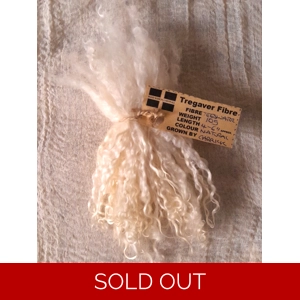 Natural undyed Teeswater curly wool locks and ringlets 10g