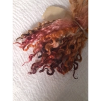 Autumn Hedgerows Teeswater wool locks, 10g