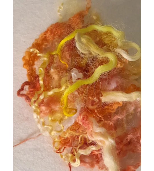 Mixed breeds curly wool, 10g Yellows and Oranges