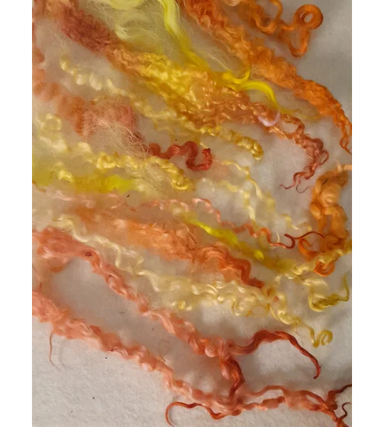 Mixed breeds curly wool, 10g Yellows and Oranges