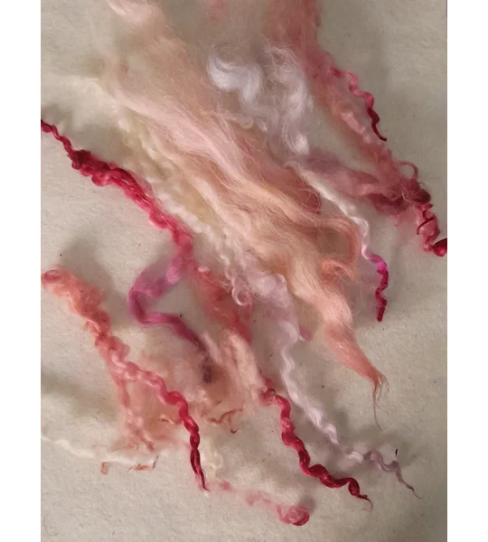 Mixed breeds curly wool, 10g pinks and reds